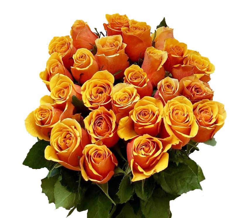 С Днём Вселенского Венчания! Поздравления