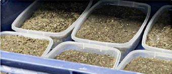 Фирма в Подмосковье БУДЕТ ВЫПУСКАТЬ ПРОДУКТЫ С ДОБАВКОЙ ИЗ СВЕРЧКОВ Фирма в Подмосковье БУДЕТ ВЫПУСКАТЬ ПРОДУКТЫ С ДОБАВКОЙ ИЗ СВЕРЧКОВ