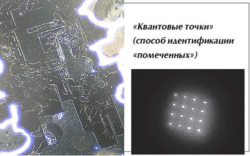 «Квантовые точки» (способ идентификации «помеченных»)
