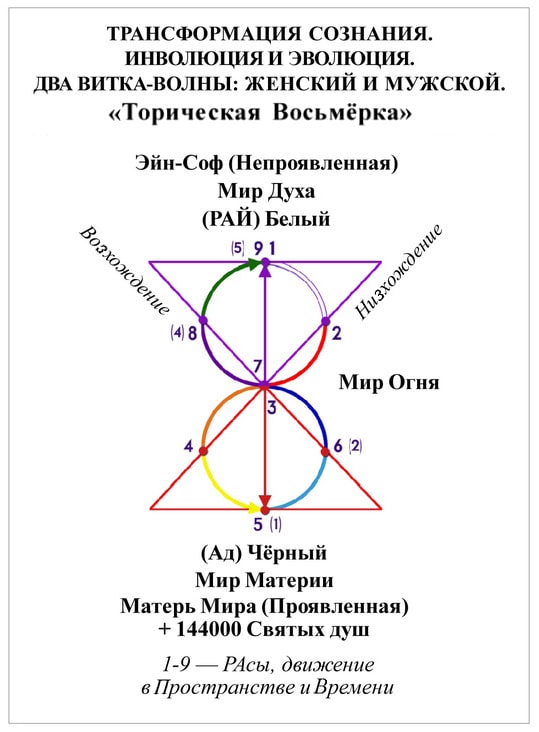 ТРАНСФОРМАЦИЯ СОЗНАНИЯ. ИНВОЛЮЦИЯ И ЭВОЛЮЦИЯ. ДВА ВИТКА-ВОЛНЫ: ЖЕНСКИЙ И МУЖСКОЙ. «Торическая Восьмёрка»