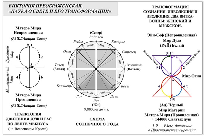 Схема «Торическая Восьмёрка». Схема Солнечного Года. Схема: Трансформация сознания. Инволюция и Эволюция. Два Витка-Волны: Женский и Мужской. — Виктория ПреобРАженская. «Наука о Свете и Его Трансформации»